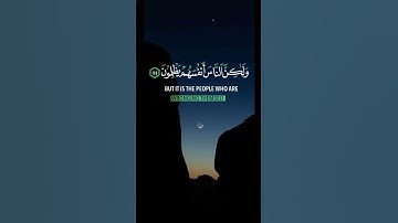 #سورة_يونس #سعد_الغامدي #سعد_الغامدى #الشيخ_سعد_الغامدي #القارئ_سعد_الغامدي #يونس #الغامدي #قرءان