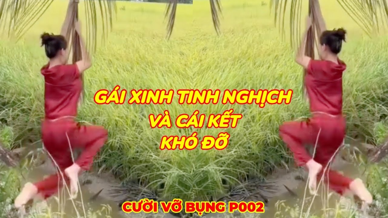 ✅Cười Vỡ Bụng ( P002)✔ | Những Thằng Ngu Nhất Hành Tinh Cười Vỡ Bụng ( P002)✔