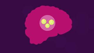 Cognitive Neuroscience Century The Learning Brain Cpd Cognitive