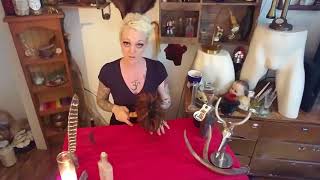 How I use my Besom- THE TAXIDERMY WITCH