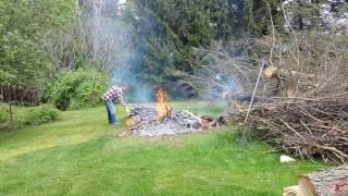 Karen Burning Pine Tree Branches While I Cut Limbs ---20170520 1132591