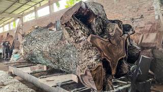 Revealing the Hidden Beauty Inside a Giant Log