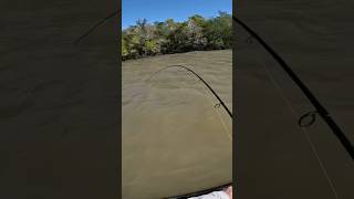 Big Fish Had Its Own Plans