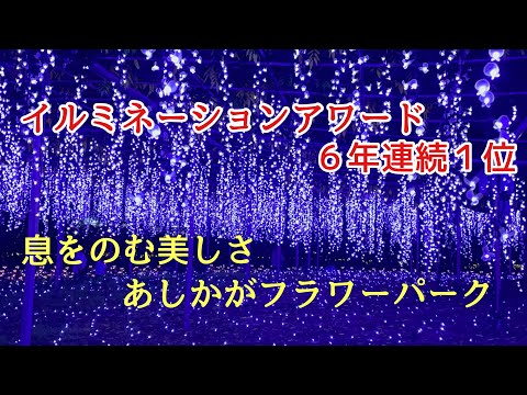 息をのむ美しさ！イルミネーションアワード６年連続１位