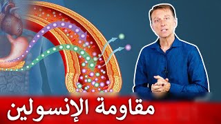 سبع طرق تقلل مقاومة الإنسولين لتسريع حرق الدهون