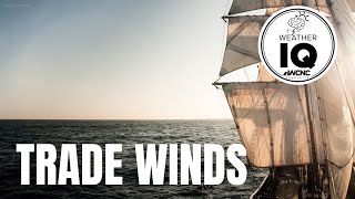 Weather IQ: Trade winds screenshot 1