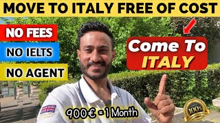 Study In Italy For Free 2023 || Italy Government  Announce scholarships for international students