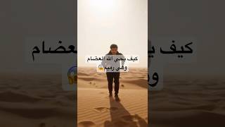كيف يُحيي الله العظام وهي رميم؟ #dna #science #islam #documentary #afterlife #viral #mystery