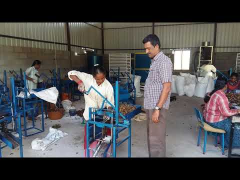 Cashew Manuel Shelling