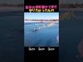 自分の命を懸けてまで 守りたかったもの #感動 #救助 #奇跡