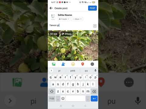 How to Post on Facebook - video from Urban Plants