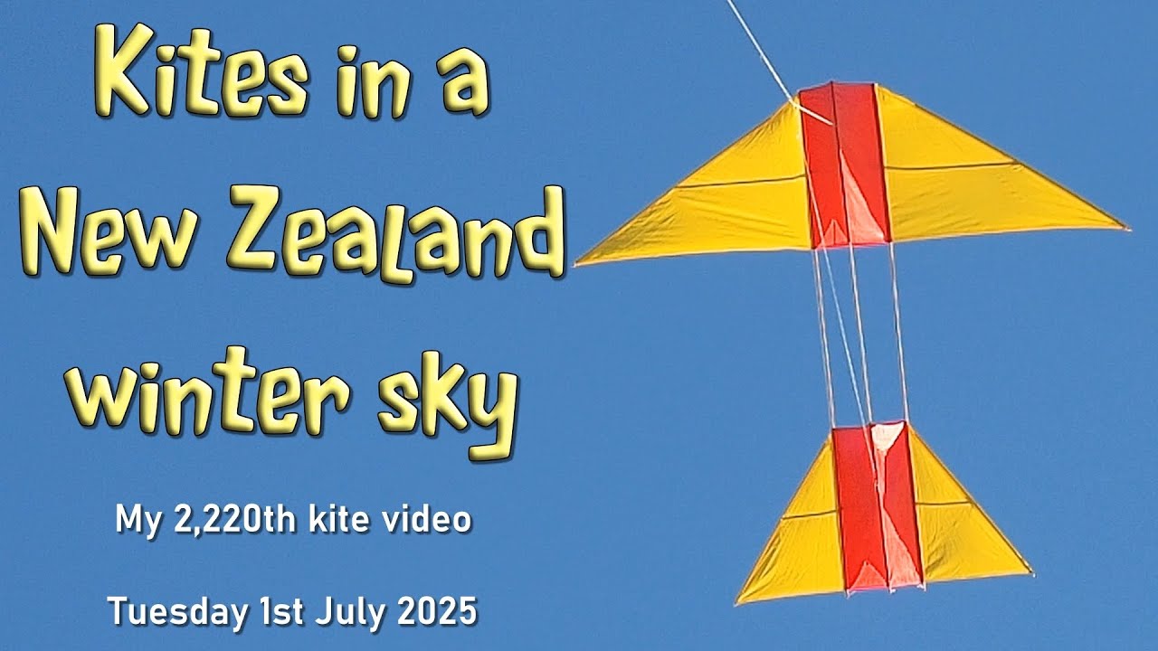 Kites in a New Zealand winter sky