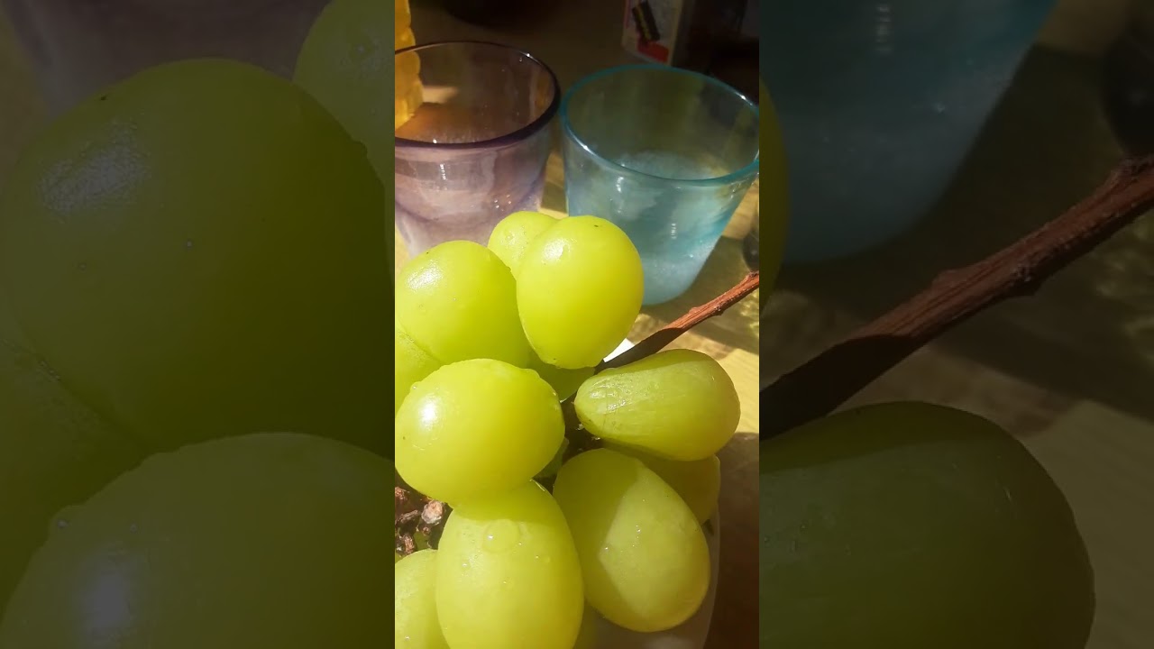 『Voice office  Coecho(コエコ)🌈』より、ごあいさつ申し上げます・・・ 11/12のイベント前に☆