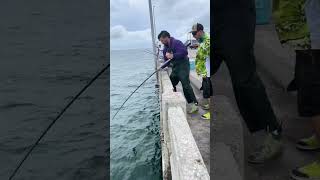 #fishpin #fishing #fishingvideo #fishinglife