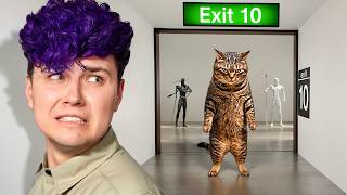 Go away, FAT CAT! 💀 Find the exit in the Gallery screenshot 3