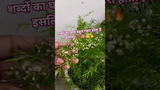 गौतम बुद्ध जी का प्रवचन 💯👍 #anmolthoughts #motivation #lifescience #youtubeshorts