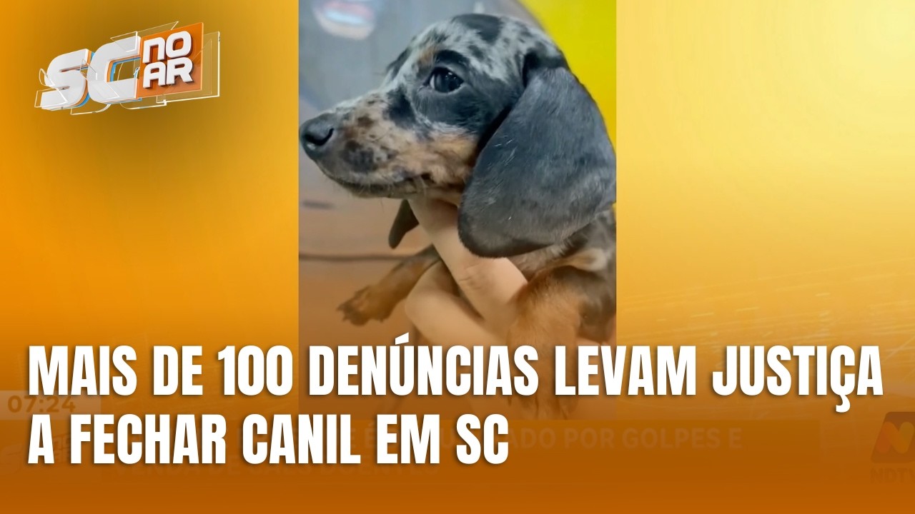 Justiça determina fechamento de canil investigado em Brusque