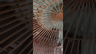 Spray foaming a grain bin #diy #airbnb #sprayfoam #grainbin #offgrid