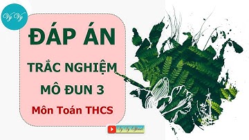 Đáp án mô đun 3 môn Toán -Trắc nghiệm I VyVy Official