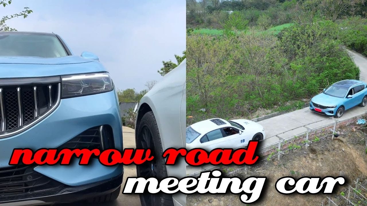 Navigating Narrow Roads: Overcoming Obstacles with Skill#5