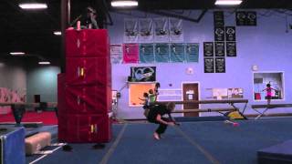 Gargoyle Gainer