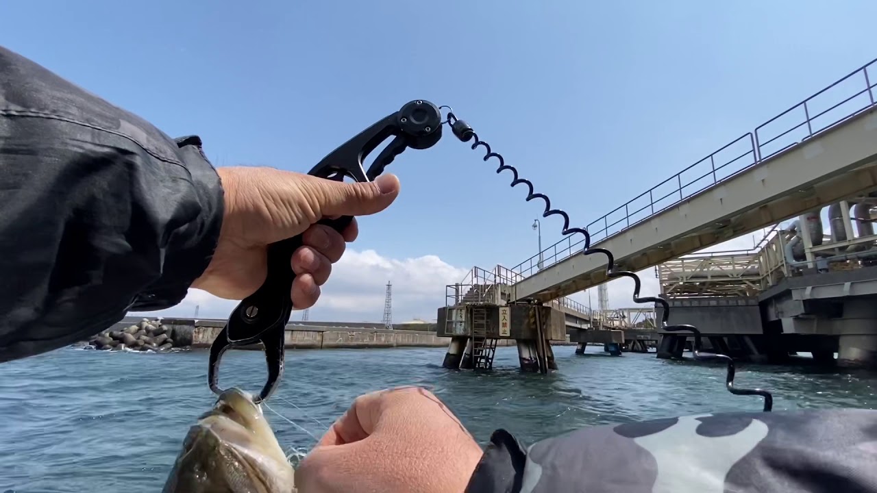 【東京湾】タイやヒラメの舞い踊り!!【マゴチ シーバスも】TMK YouTube