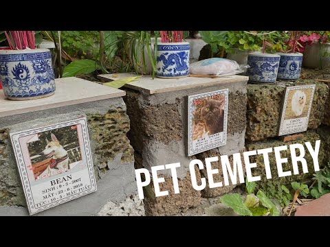 Video Pet Cemetery/ Nghĩa trang thú cưng độc nhất vô nhị... - youtube