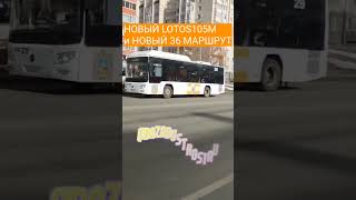 LOTOS 105, борт 29, маршрут 36 Ставрополь #shorts #автобус #ставрополь