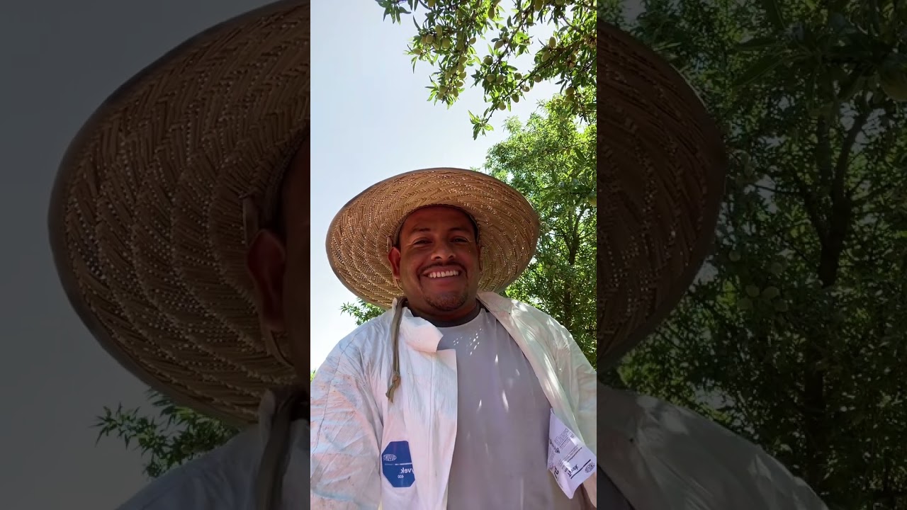 A Humorous Greeting from the Orchard