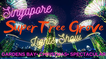 SINGAPORE SUPERTREE GROVE LIGHTS SHOW! IT