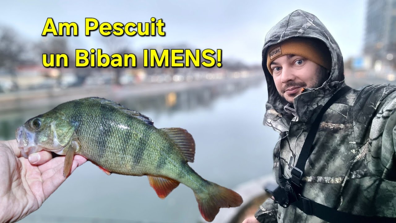 Am PESCUIT încă un BIBAN IMENS pe DÂMBOVIȚA! Am prins si RACI, STRAPI ...