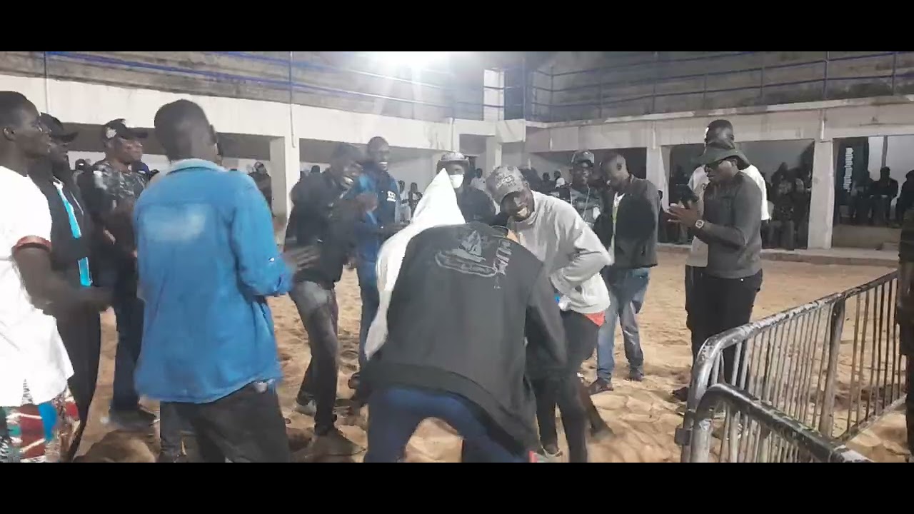 No li nekhna way avec ndigue sene à arène Adrien sengohor 🤣😂❤️