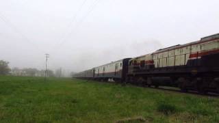 Tren 1351 atrasadito entre la niebla.