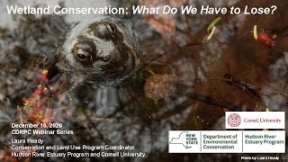 Wetland Conservation What Do We Have to Lose
