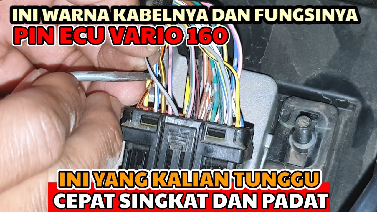 Jalur kabel pin ECU honda vario 160 @Yudikakakeke