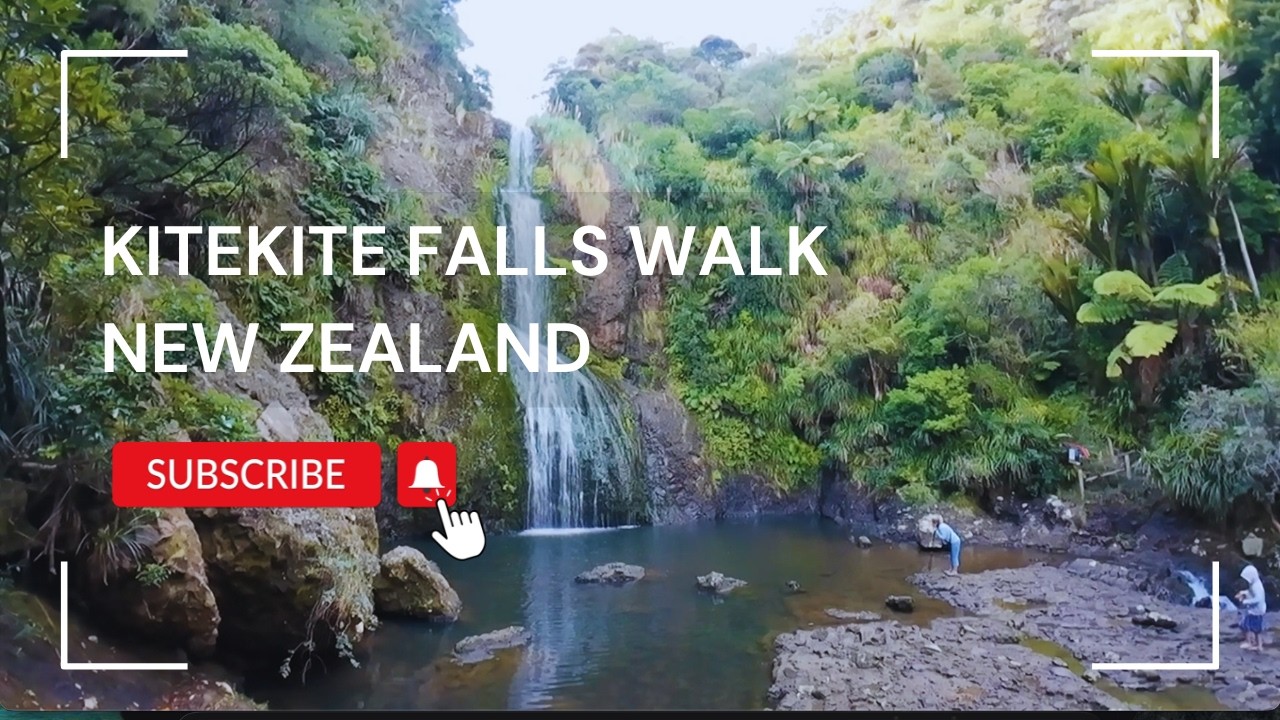 Peaceful forest walk to Kitekite Falls 🌿💧 | Relaxing Nature Sounds | New Zealand