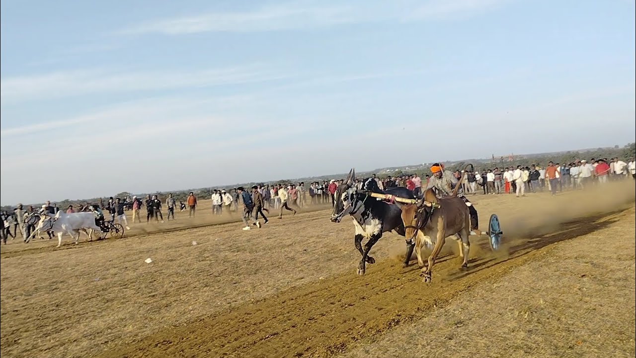 आमगांव पट | 1 नंबर फाइनल विनर अजीम पटेल बिहारीया रणबीर और चिमटा 