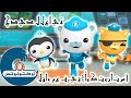 أوكتونوتس لقاء مع فريق أوكتوناتس السلسلة 1 حلقات م جم عة 