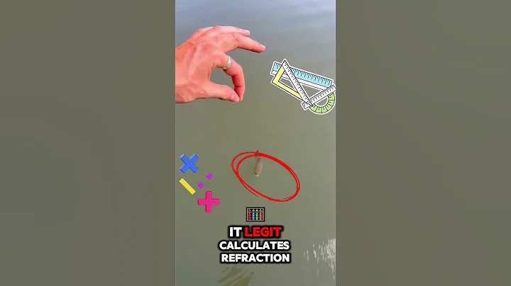 The fish that is better than your COD teammates - Archer Fish