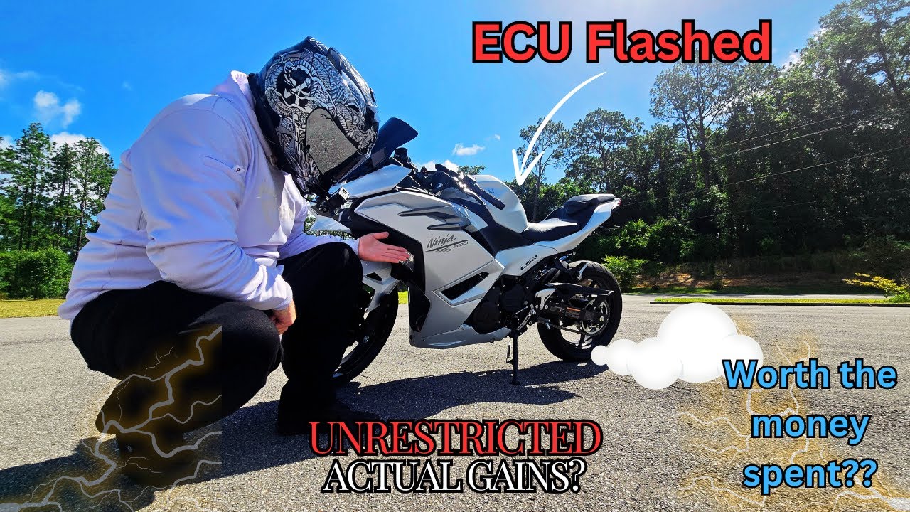 2024 Kawasaki Ninja 500 | Flashed by 2WDW