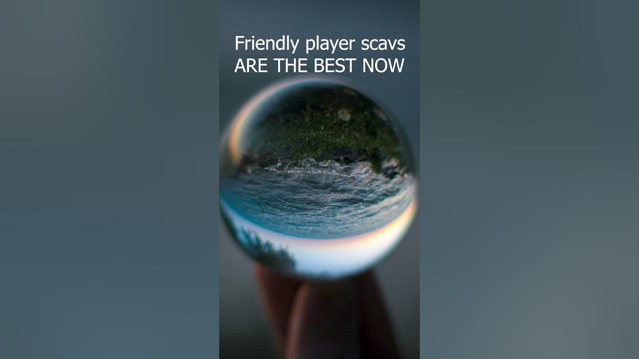 Getting the Evasion Armband with friendly scavs in EFT Escape From