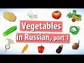 Vegetables in Russian. Part 1.