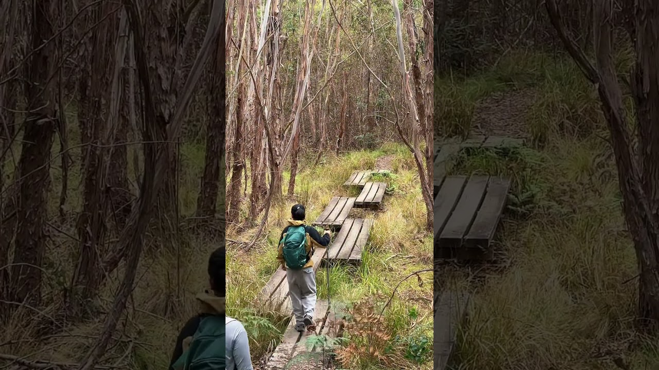 維州HIKING景點推薦｜Brisbane Ranges National Park