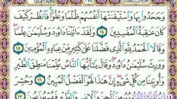 سورة      النمل              صفحة     ٣٧٨               من  الأية( ١٤ ) إلى الأية ( ١٧ )