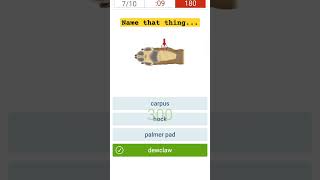 Name that Thing - Merriam-Webster Games