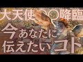 Live🔴【大天使〇〇来た緊急リーディング✨】夏至&蟹座新月パワー満ちる必ず幸せになる瞑想🌚🩷
