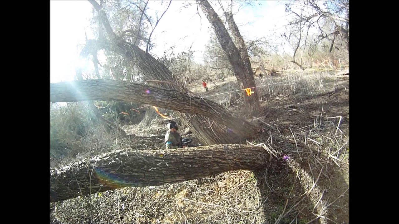 dynasty vs cp raiders uwl 2013