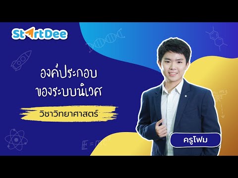 วีดีโอ: ระดับขององค์กรของระบบนิเวศคืออะไร?