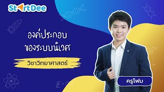 วิชาวิทยาศาสตร์ ม.3 | องค์ประกอบของระบบนิเวศ