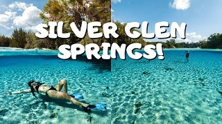 Silver Glen Springs, FL VLOG | AGUAS CRISTALINAS - Ven Con Paola